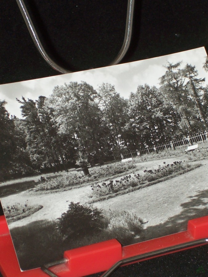 Artikelbild 1 des Artikels “Kurbad Bad Lausick, Rosengarten “