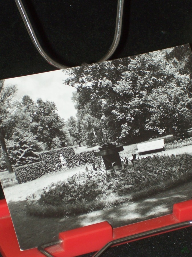 Artikelbild 1 des Artikels “Kurbad Bad Lausick, Vogelbrunnen im Kurpark “