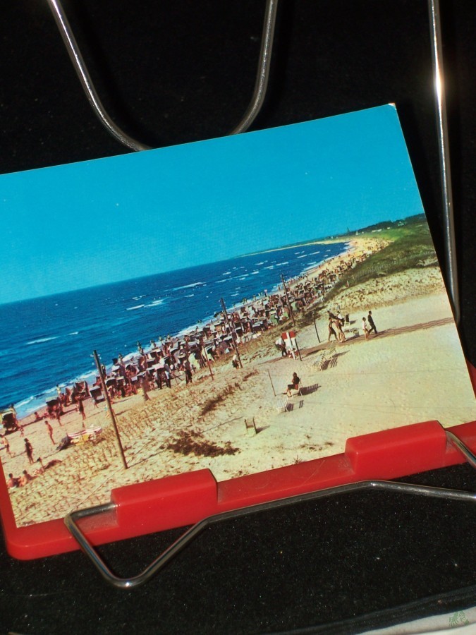 Artikelbild 1 des Artikels “Ostseebad Dierhagen, “