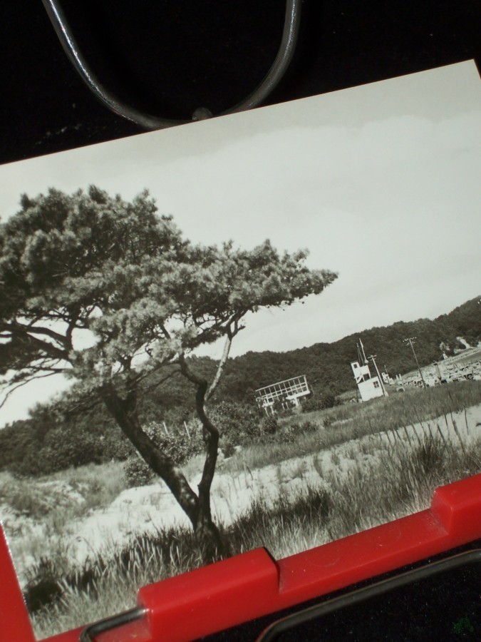 Artikelbild 1 des Artikels “Baabe, Blick zum Inselparadies und zum Strand “