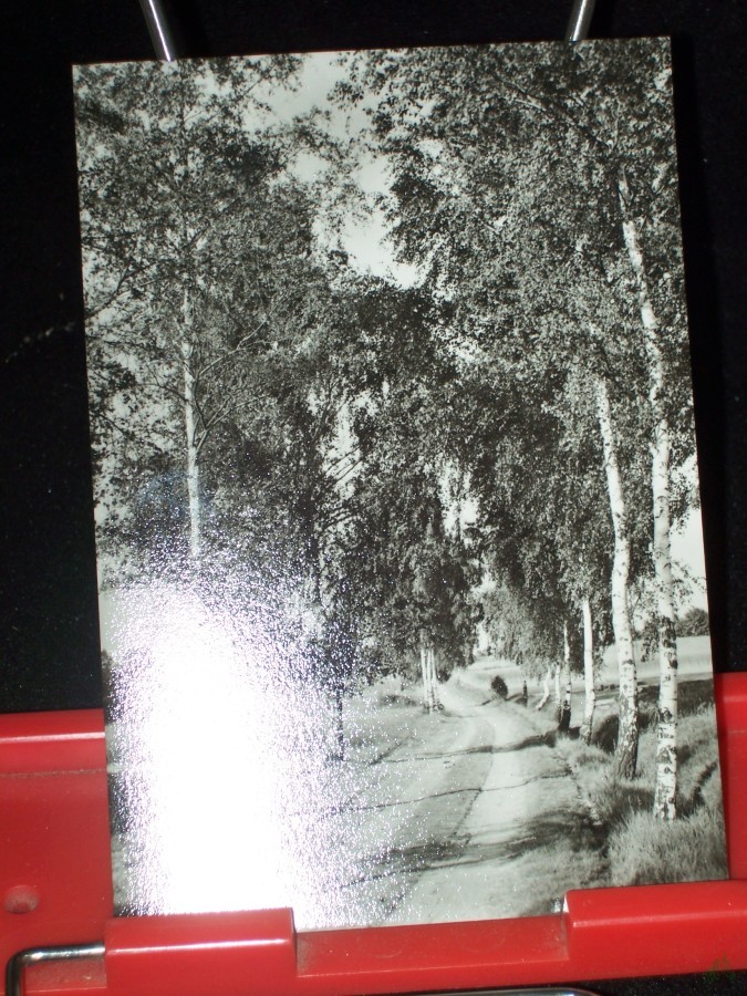 Artikelbild 1 des Artikels “Gneisenhauptstadt SCHILDAU, Schildbergweg, Foto Kühn “