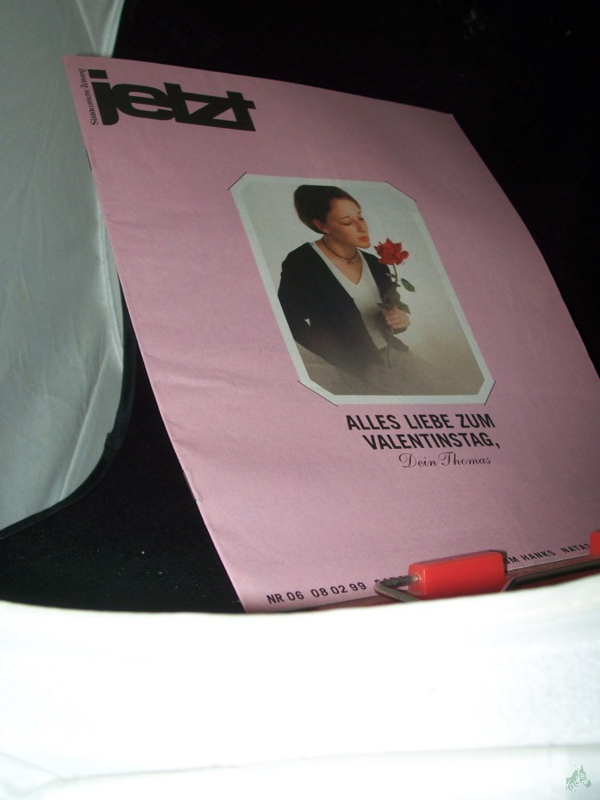 Artikelbild 1 des Artikels “nr. 06/1999, Alles liebe zum Valentinstag “