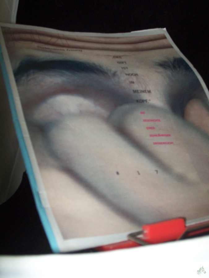 Artikelbild 1 des Artikels “17/1999, das Gift ist noch in meinem Kopf, Die Geschichte einer zehnjährigen Drogensucht “