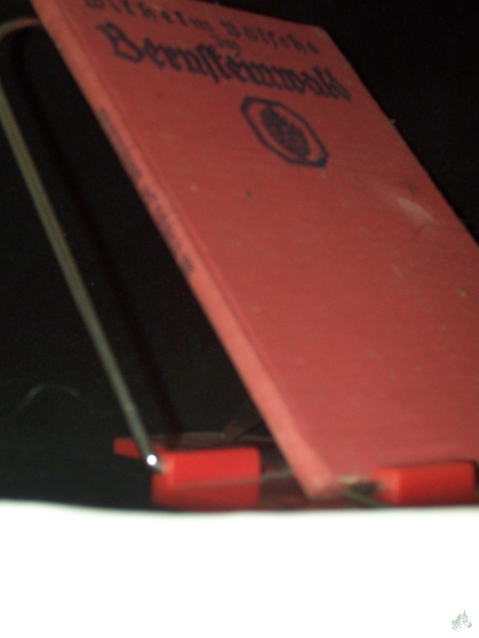 Product image 1 of the product “Im Bernsteinwald / Wilhelm Bölsche ”