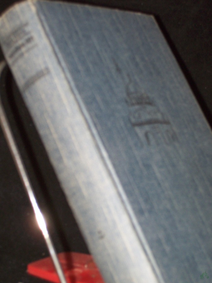 Artikelbild 1 des Artikels “Bagdadbahn 1893 : Roman einer Diplomatenintrige / Walter Persich “