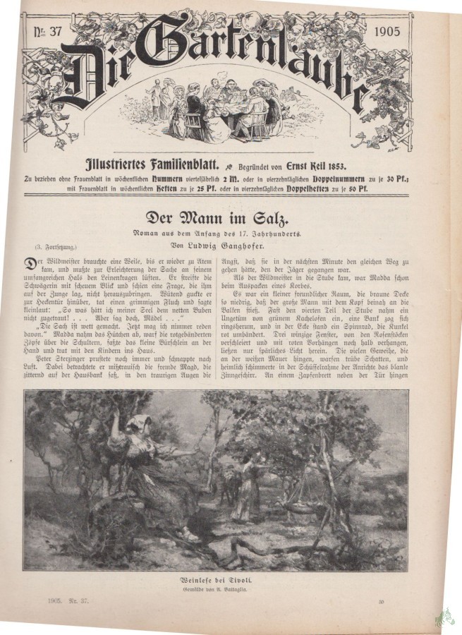 Artikelbild 1 des Artikels “37/1905 “