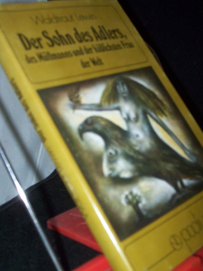 Artikelbild 1 des Artikels “Der Sohn des Adlers, des Müllmanns und der hässlichsten Frau der Welt : e. Märchen vom Eis u. vom Feuer / Waldtraut Lewin “