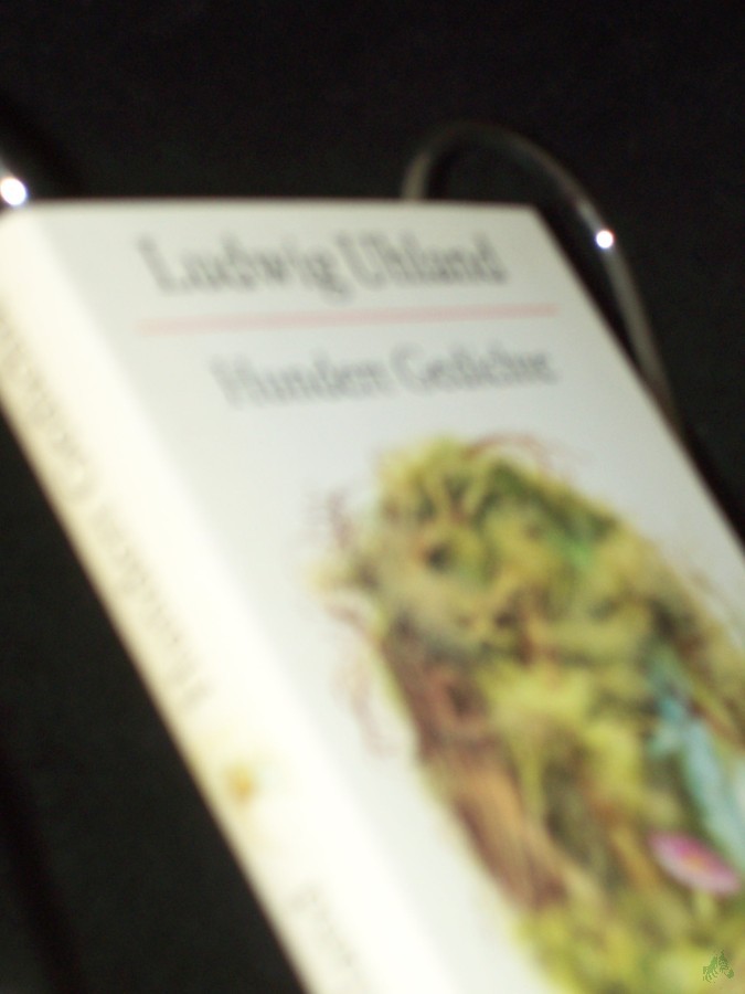 Artikelbild 1 des Artikels “Hundert Gedichte / Ludwig Uhland. [Ausgew. u. zsgest. von Walter Lewerenz. Ill. von Carl Hoffmann] “