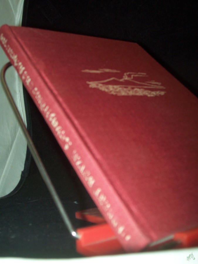 Artikelbild 1 des Artikels “Lavaströme und Aschenregen : die vulkanische Erscheinungen und Kräfte, mit Berichten von den grössten Vulkankatastrophen der Welt / Herbert Butze “