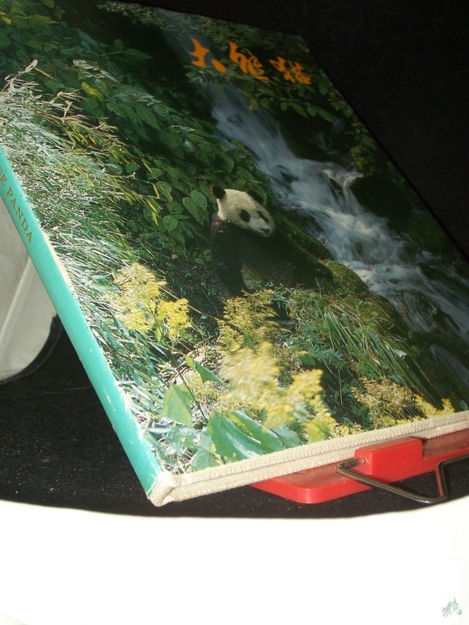 Product image 1 of the product “Der grosse Panda ”