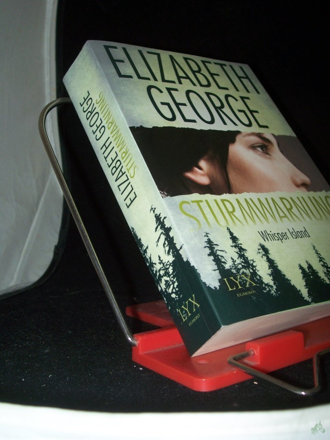 Artikelbild 1 des Artikels “George, Elizabeth: Whisper island Teil: [1]., Sturmwarnung “