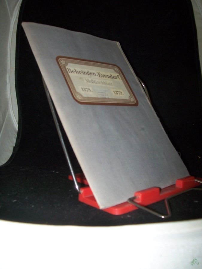 Artikelbild 1 des Artikels “Behringen, Evendorf, 1378 und 1379 “