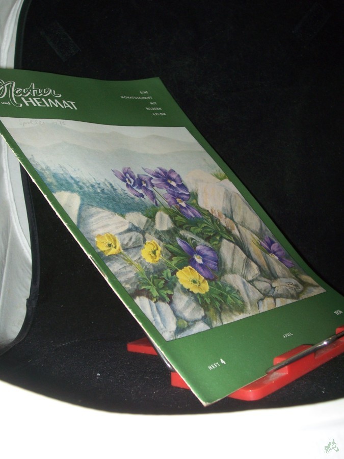 Artikelbild 1 des Artikels “4/1956 “