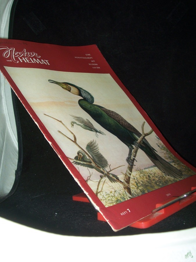 Artikelbild 1 des Artikels “7/1956 “