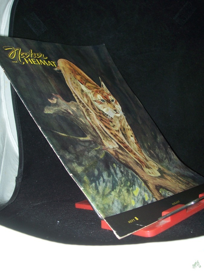 Artikelbild 1 des Artikels “8/1956 “