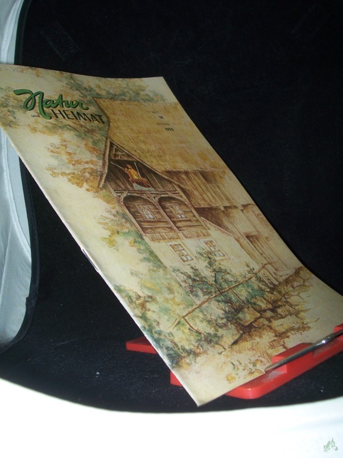 Artikelbild 1 des Artikels “10/1955 “