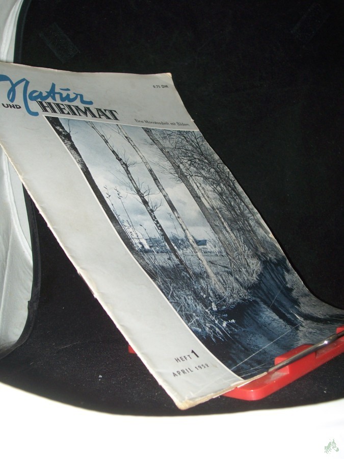 Artikelbild 1 des Artikels “1/1952 “