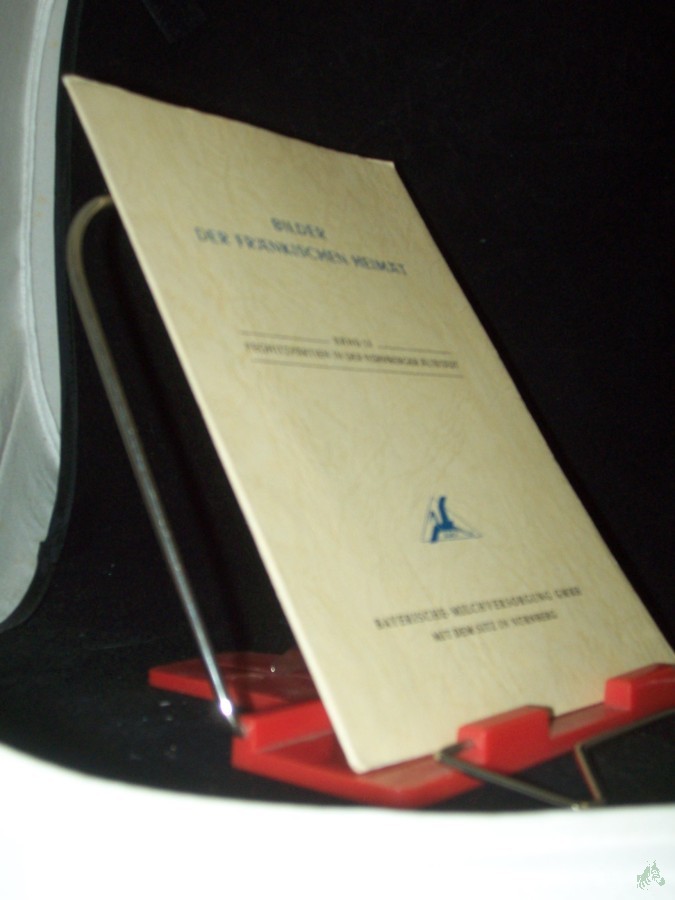 Artikelbild 1 des Artikels “Bilder der fränkischen Heimat, Band IX, Pegnitzpartien in der Nürnberger Altstadt “