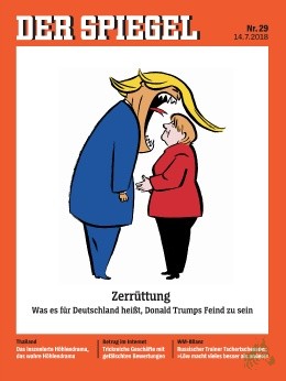 Product image 1 of the product “29/2018, Zerrüttung ”