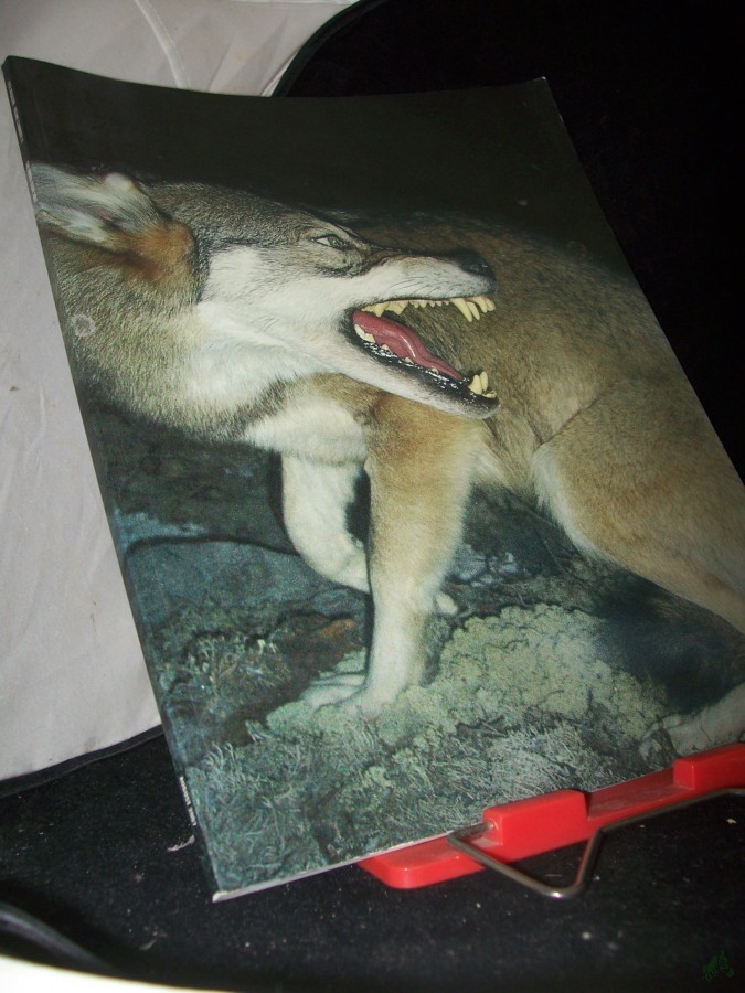 Artikelbild 1 des Artikels “Volume 2 Number 11 “