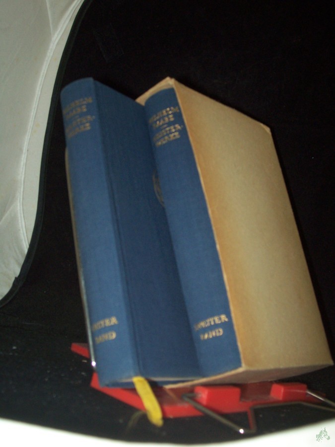 Artikelbild 1 des Artikels “Meisterwerke / Wilhelm Raabe. [Text u. Anm. nach d. kritisch durchges., von Karl Hoppe besorgten Ausg.] “