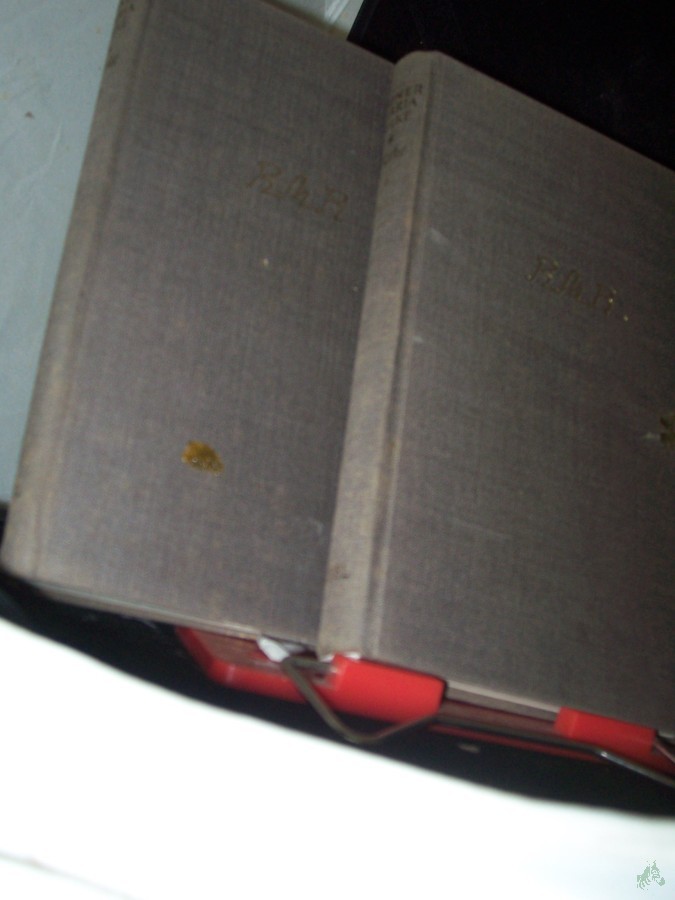 Artikelbild 1 des Artikels “Werke : Auswahl / Rainer Maria Rilke, 2 Bände “