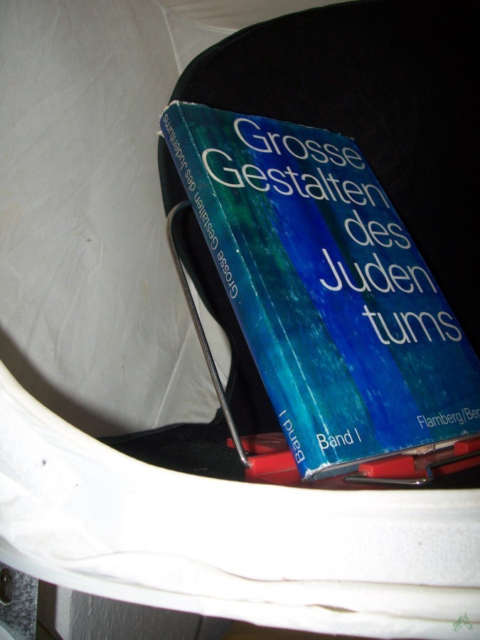 Product image 1 of the product “Grosse Gestalten des Judentums Teil: Bd. 1. ”