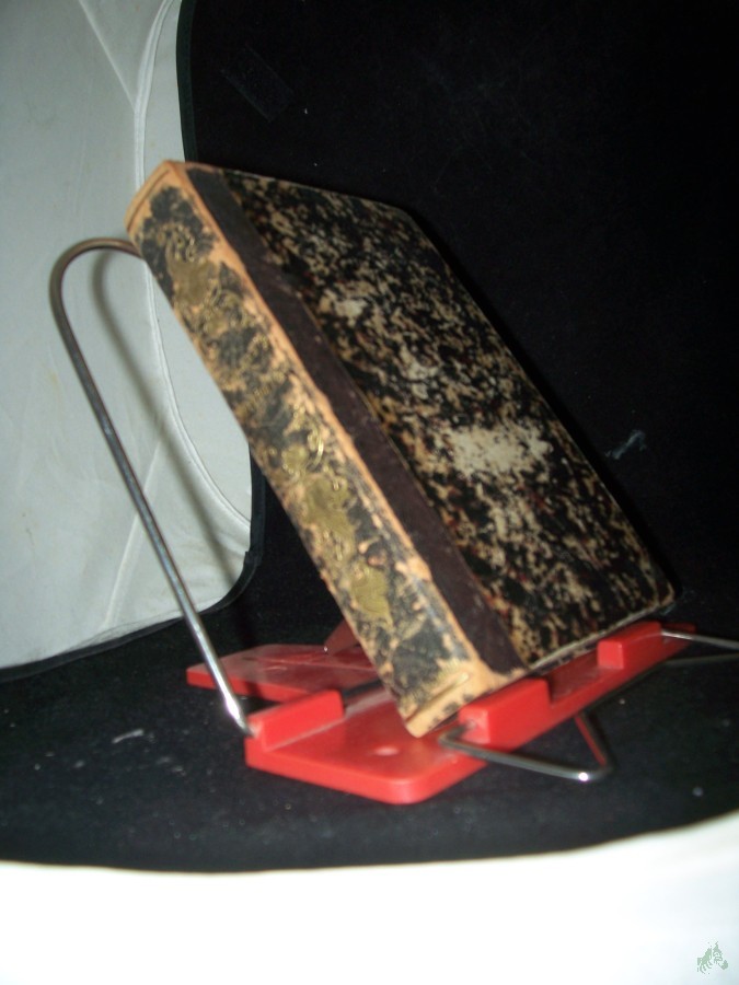 Artikelbild 1 des Artikels “Gedichte “