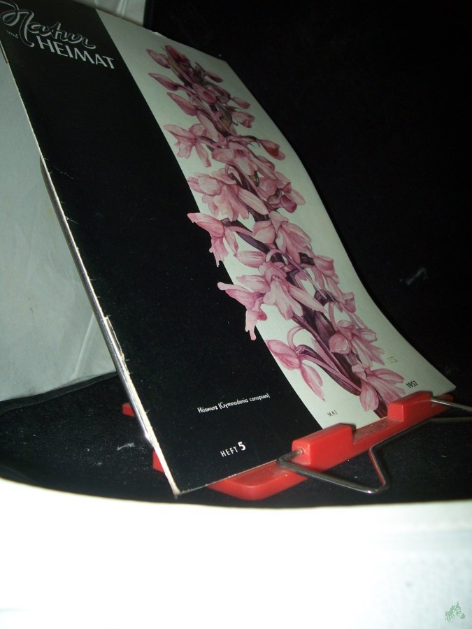 Artikelbild 1 des Artikels “5/1957 “