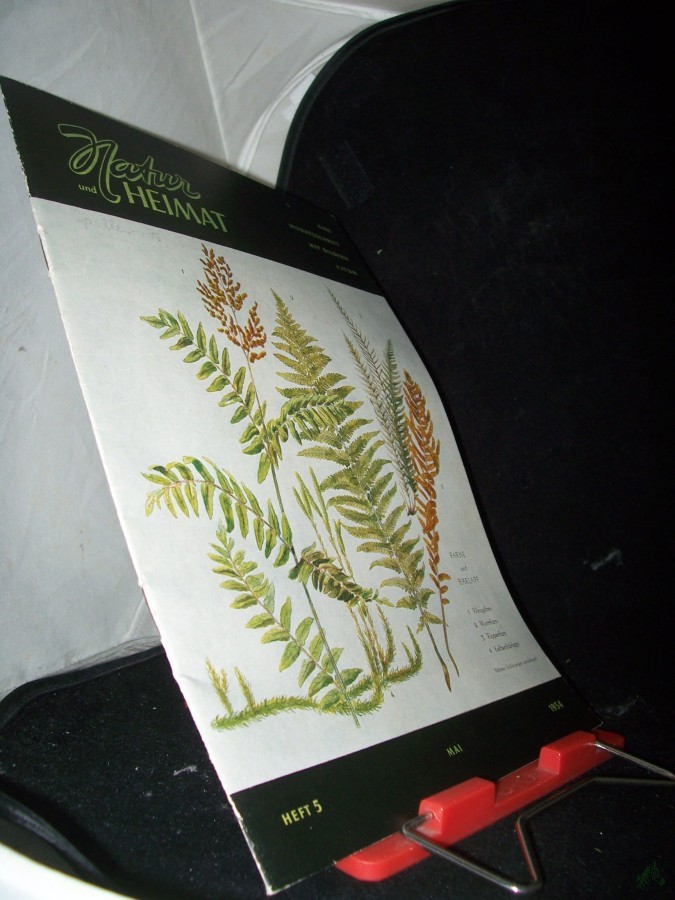 Artikelbild 1 des Artikels “5/1954 “