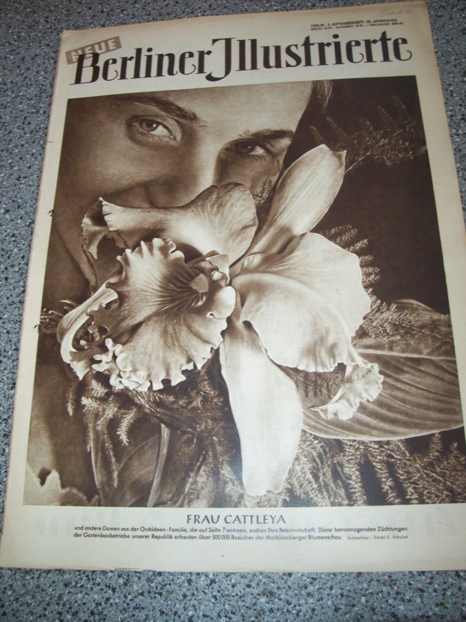 Artikelbild 1 des Artikels “38/1953 FRAU CATTLEYA “