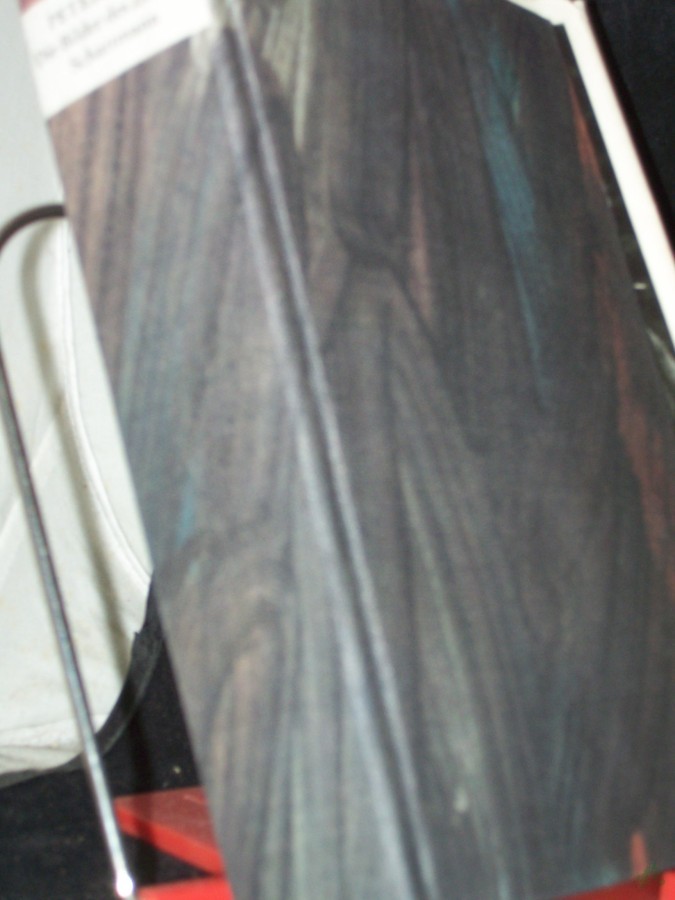 Artikelbild 1 des Artikels “Die Bilder des Zeugen Schattmann : Ein Roman über dt. Vergangenheit u. Gegenwart / Peter Edel “