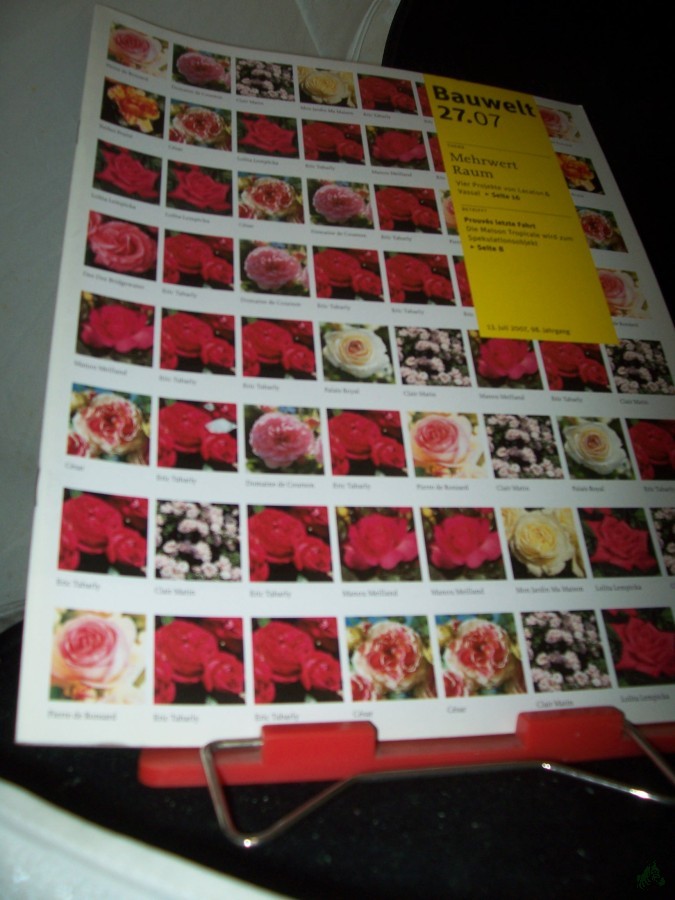 Artikelbild 1 des Artikels “27/2007 Mehrwert Raum “