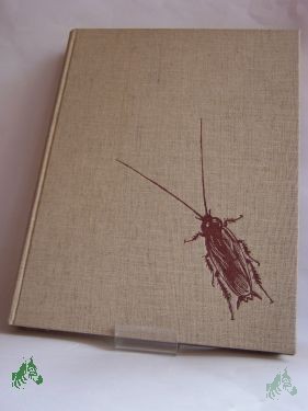 Artikelbild 1 des Artikels “Tierwelt um uns / V. J. Stanek. Dt. von Henriette Kreuz. Aufnahmen vom Autor “