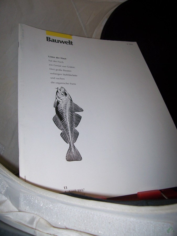 Artikelbild 1 des Artikels “13/1997 Unter der Haut “