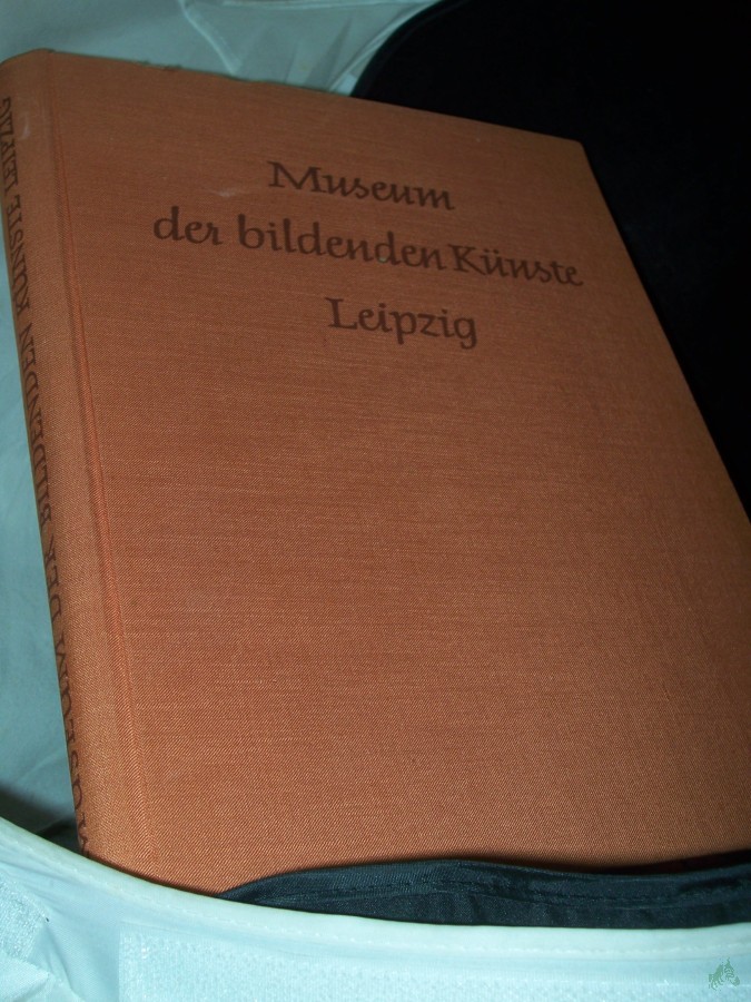 Artikelbild 1 des Artikels “Museum der Bildenden Künste Leipzig / Auswahl und Text von Johannes Jahn “