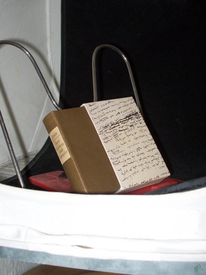 Product image 1 of the product “Zwei Gelehrte und Kämpfer / Lenin ”