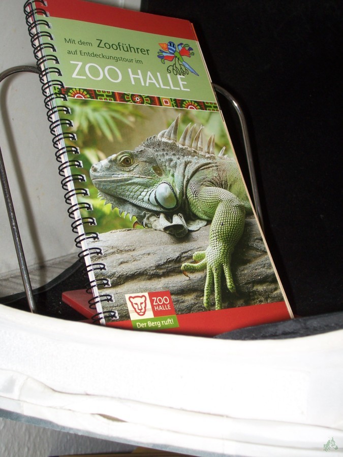 Artikelbild 1 des Artikels “Mit dem Zooführer auf Entdeckungstour im Zoo Halle (Leguan) “