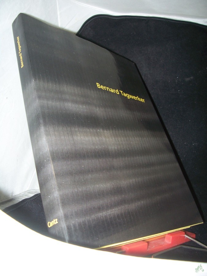 Artikelbild 1 des Artikels “Bernard Tagwerker 1969 bis 1995 : [Kunstverein St. Gallen, 15. März bis 18. Mai 1997] / [Hrsg. Roland Wäspe. Red. Konrad Bitterli. Übers. Jeanne Haunschild] “