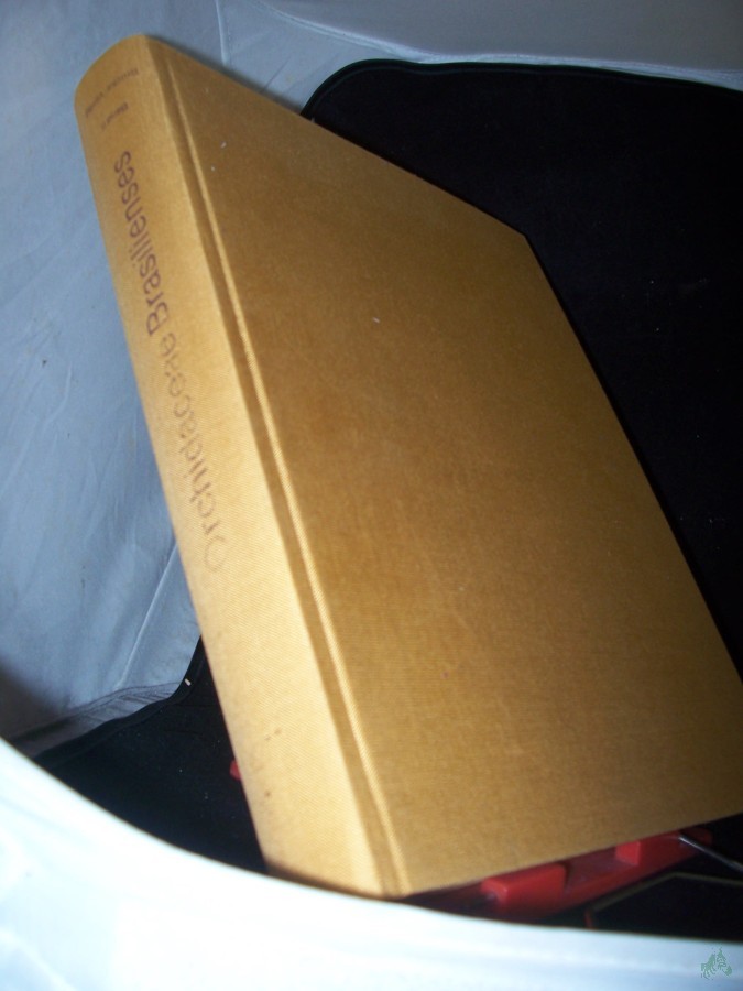 Artikelbild 1 des Artikels “Orchidaceae Brasilienses Teil: Bd. 2. “