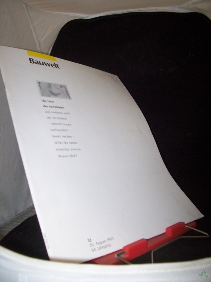 Artikelbild 1 des Artikels “32/1993 die Nase des Architekten “