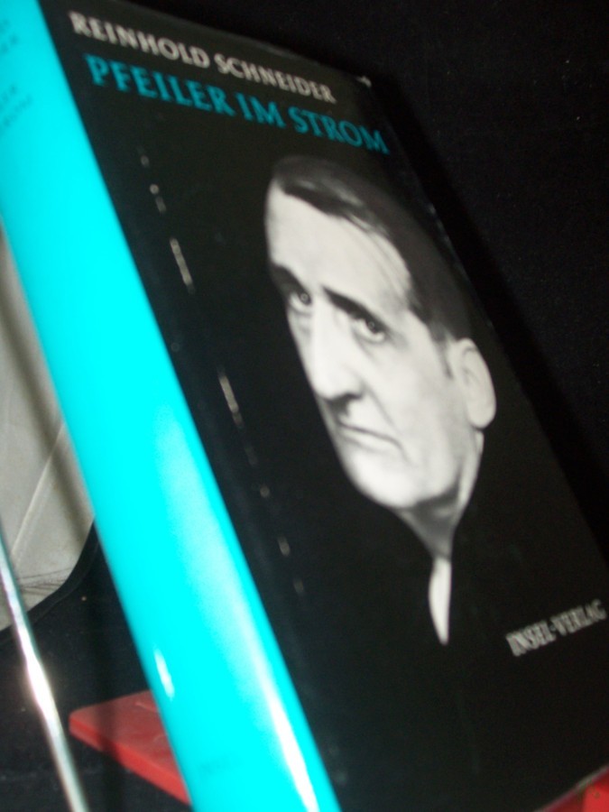 Artikelbild 1 des Artikels “Pfeiler im Strom / Reinhold Schneider “