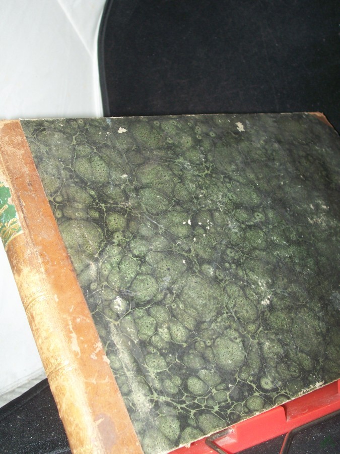 Artikelbild 1 des Artikels “Meyers Universum oder Abbildung und Beschreibung des Sehenswerthesten und Merkwürdigsten der Natur und Kunst auf der ganzen Erde. Fünfter, 5., Band “