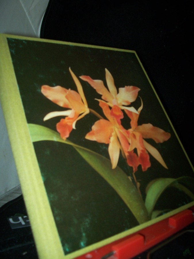 Artikelbild 1 des Artikels “Das Orchideen-Jahr : Erfahrungen mit Orchideen ; Berichte über ihre Lebensweise, Pflege, Vermehrung und Züchtung / Walter Richter “