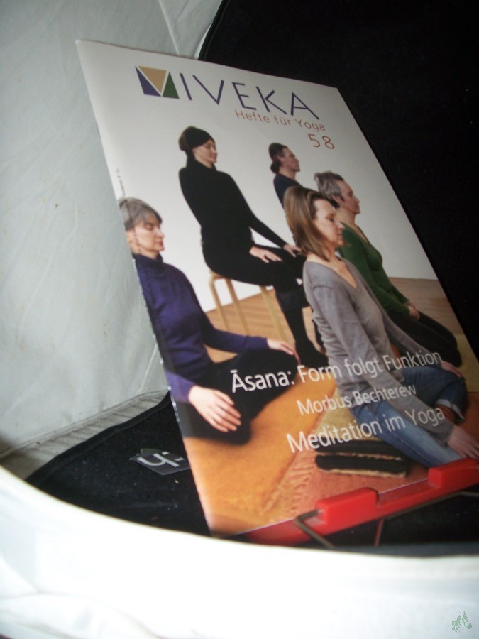 Artikelbild 1 des Artikels “58/2019 Serie Āsana – Form folgt Funktion Travelling Yoga – Meditation heute – Teil 1 Travelling Yoga – Yogakonferenz in Kyoto Morbus Bechterew und Yoga Komplementärtherapie in der Schweiz “