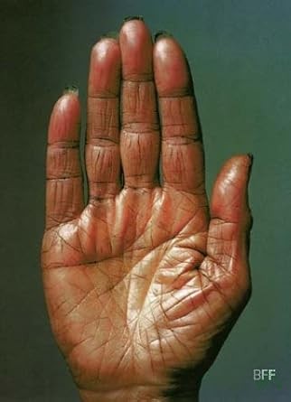 Artikelbild 1 des Artikels “Zeit Blicke : 30 Jahre Fotografie in Deutschland ; 30 Jahre BFF, Bund Freischaffender Foto-Designer ; [begleitet die Ausstellung 