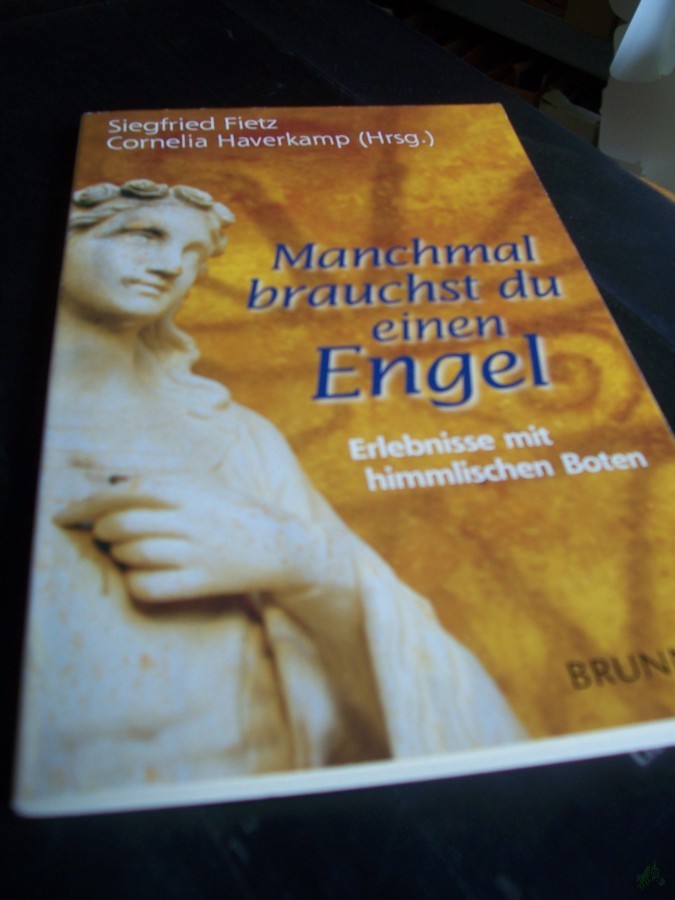Product image 1 of the product “Manchmal brauchst du einen Engel : Erlebnisse mit himmlischen Boten / Siegfried Fietz/Cornelia Haverkamp (Hrsg.) ”