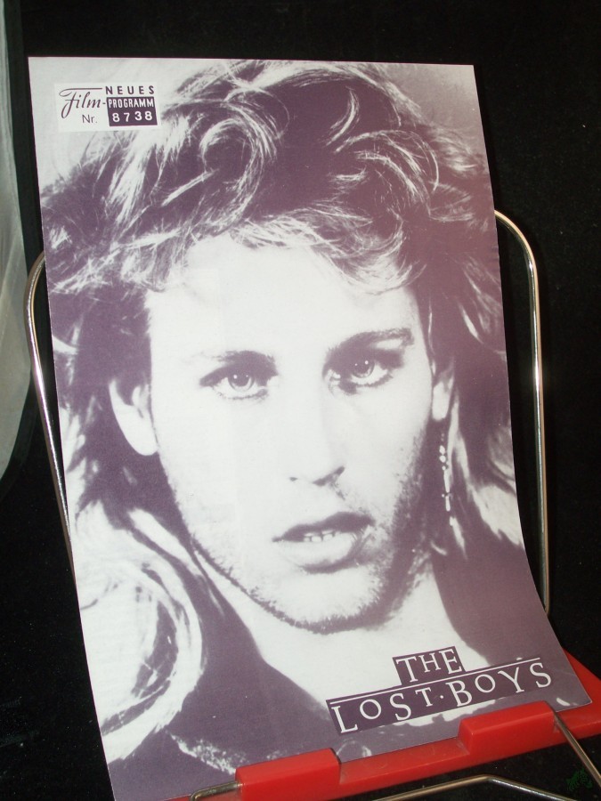 Artikelbild 1 des Artikels “Nr. 8738 The Lost Boys “