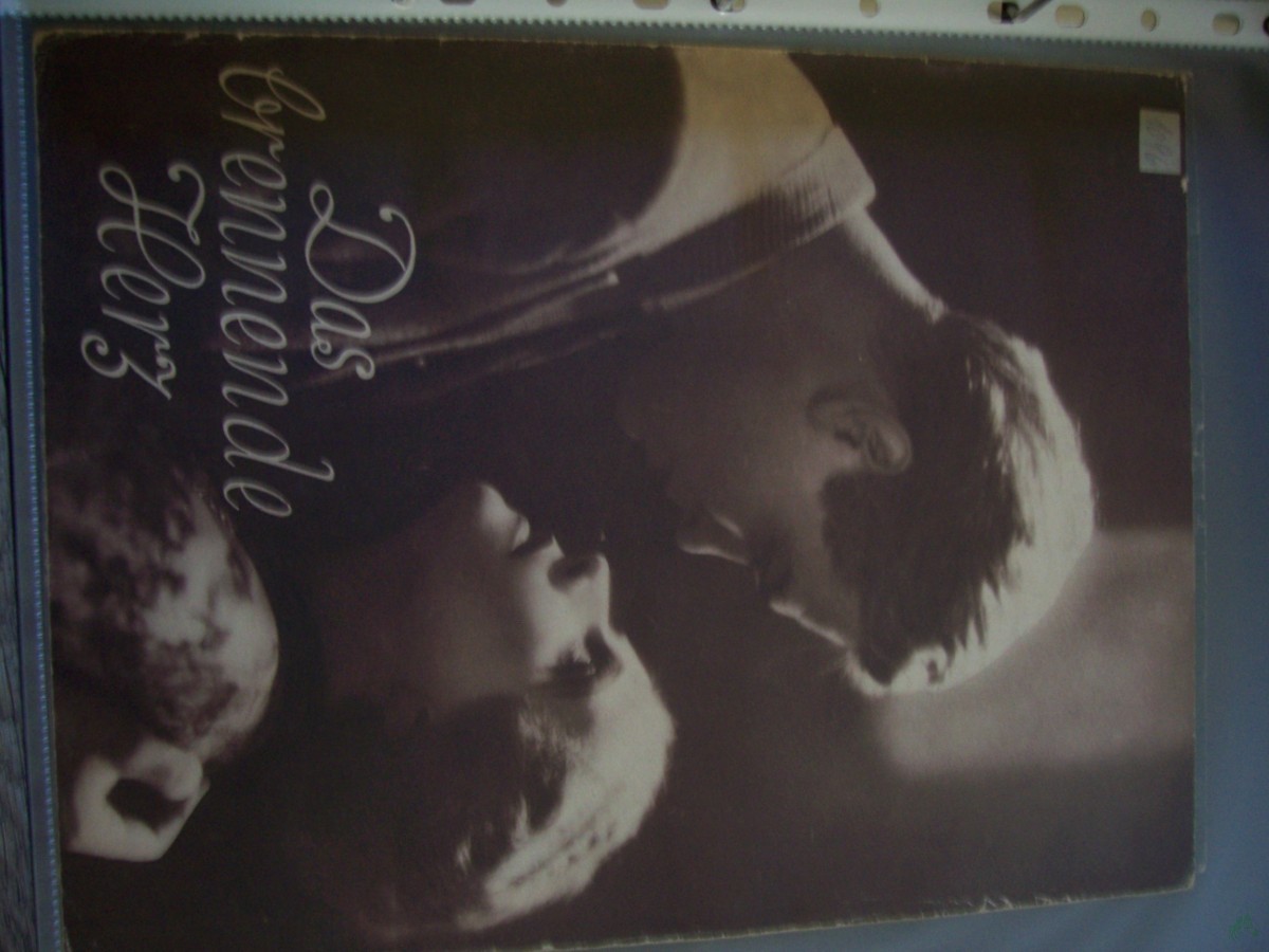 Artikelbild 1 des Artikels “Nummer 1096, Das brennende Herz “