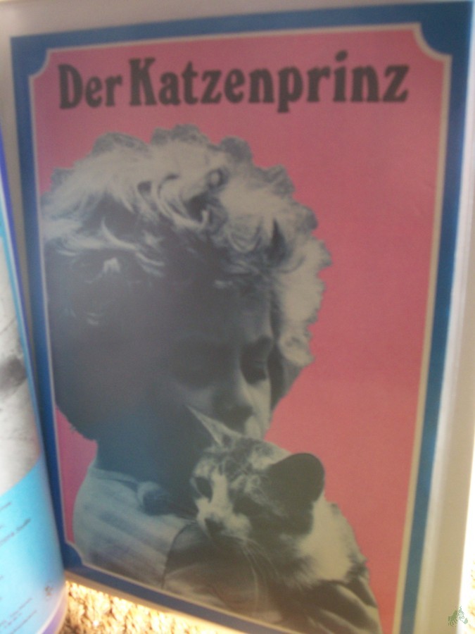 Artikelbild 1 des Artikels “22/1979 ,Der Katzenprinz “